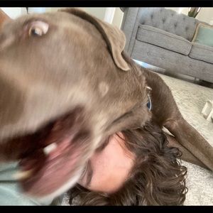 Meet your Posher, Aiden